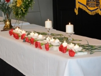 DSC_2803 (Medium)