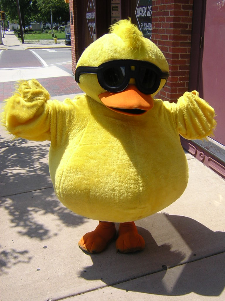 Duck Race Update – The OPTIBULLETTE